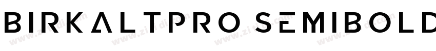 BirkaLTPro SemiboldI字体转换